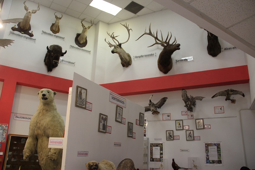 Biólogos celebrarán su día con conferencias y talleres