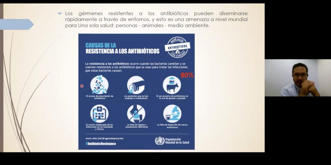 Buscan reducir el uso de antibióticos en la reproducción animal asistida