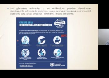 Buscan reducir el uso de antibióticos en la reproducción animal asistida