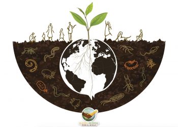 Invita la UACJ a conmemorar el Día Mundial del Suelo 2020