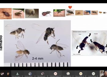 Celebran Día del Biólogo en el inicio de clases de la UACJ