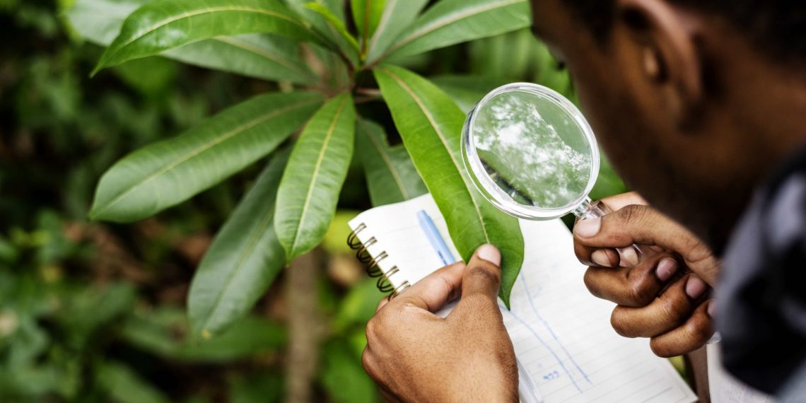 Con actividades académicas celebrarán el Día del Biólogo  