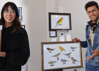 Combinan el arte con su formación profesional