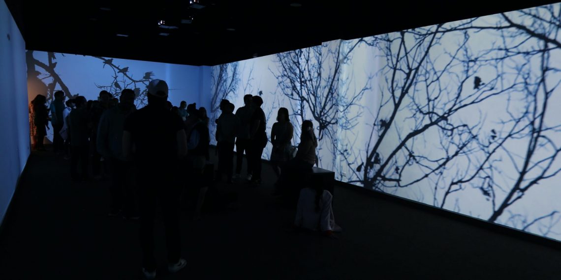 Inauguran exposición Entornos, imágenes y sonidos que poseen una perspectiva pictórica