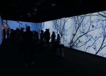 Inauguran exposición Entornos, imágenes y sonidos que poseen una perspectiva pictórica