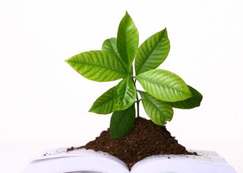 Abren registro para la XVI Olimpiada de Biología