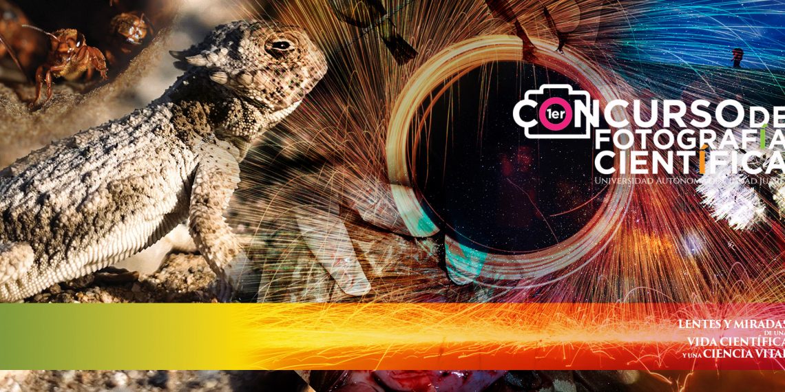 Conoce las fotografías ganadoras