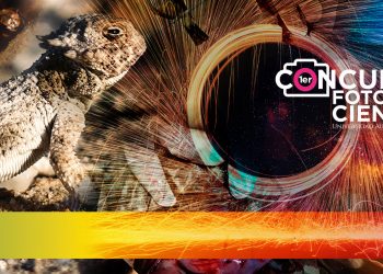 Conoce las fotografías ganadoras