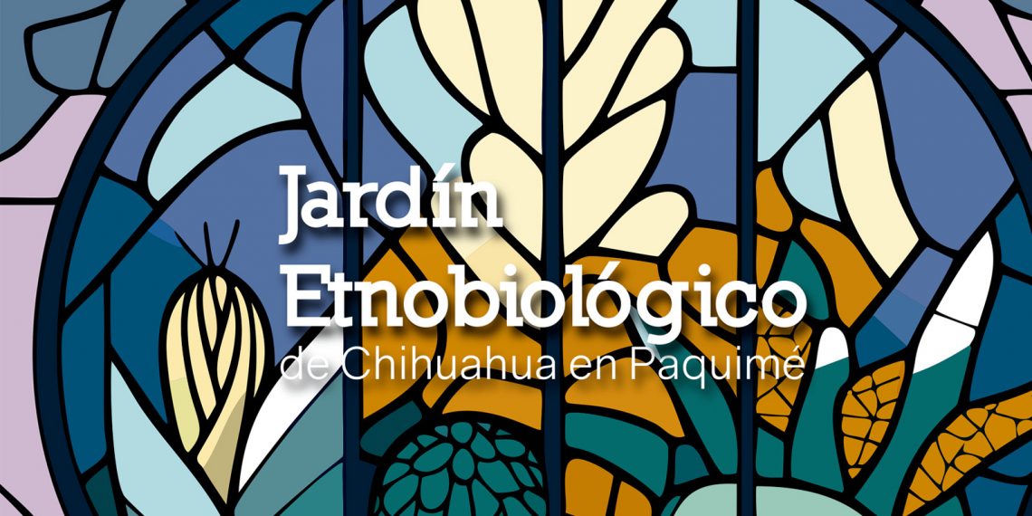 Investigadores de la UACJ trabajan en creación de Jardín Etnobiológico de Chihuahua en Paquimé