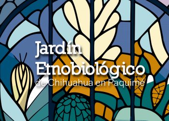 Investigadores de la UACJ trabajan en creación de Jardín Etnobiológico de Chihuahua en Paquimé