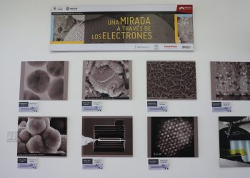 Se combinan la ciencia y el arte: “Una mirada a través de los electrones” 