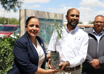 Sigue la reforestación en el ICB: llegan nuevos árboles 