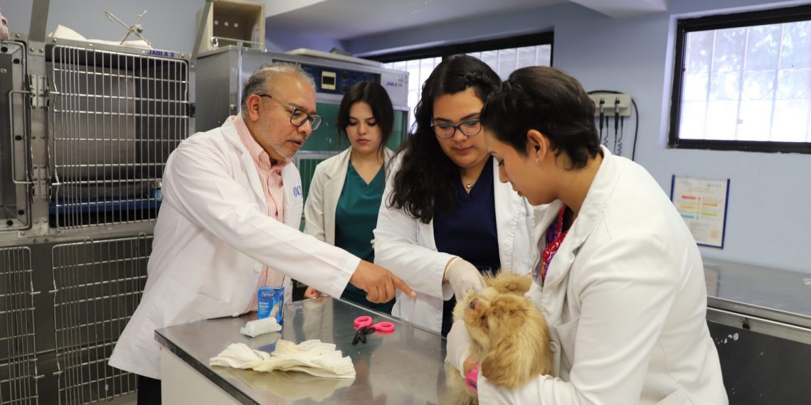 Un hospital-escuela siempre es un nicho de oportunidad para enfrentarte a la realidad y a la cuestión clínica: doctor Javier Del Ángel Caraza