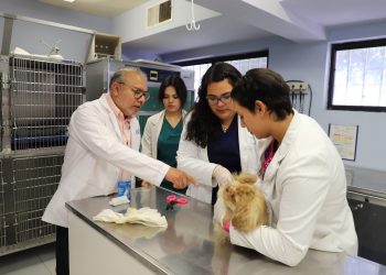 Un hospital-escuela siempre es un nicho de oportunidad para enfrentarte a la realidad y a la cuestión clínica: doctor Javier Del Ángel Caraza