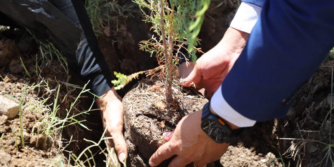 Siembran en el ICB plantas endémicas a la zona desértica