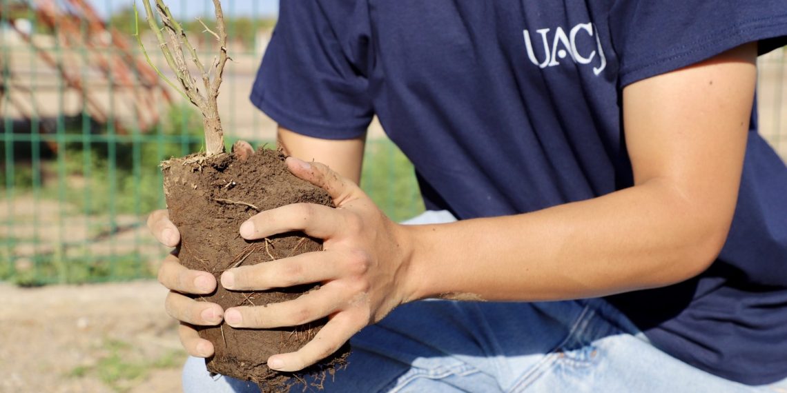 Nuevas raíces: estudiantes y árboles inician juntos su camino en la UACJ