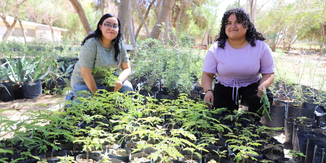 Estudiantes de Biología desarrollan proyecto de germinación y producción de plantas en invernadero del Vivero Municipal de El Chamizal
