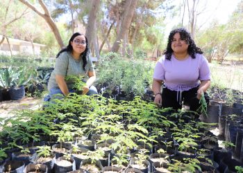 Estudiantes de Biología desarrollan proyecto de germinación y producción de plantas en invernadero del Vivero Municipal de El Chamizal