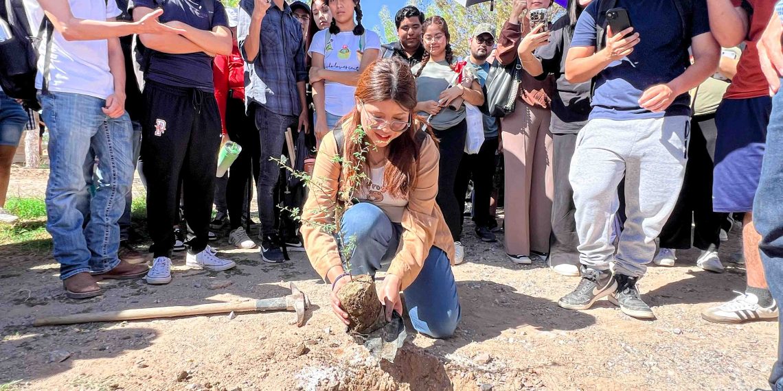 Un campus que florece en el desierto