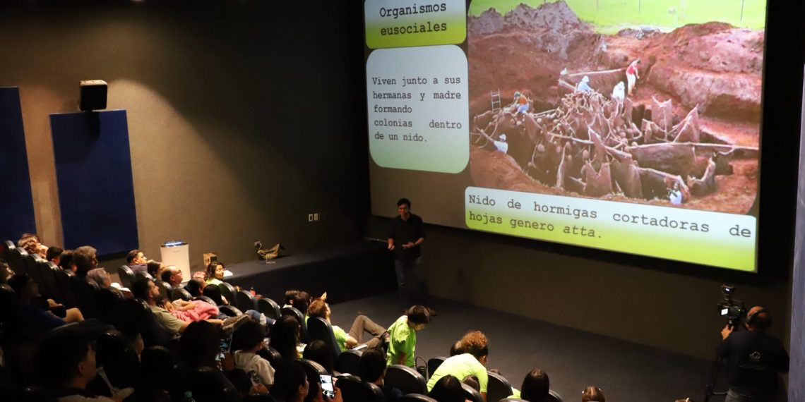 Cuando la ciencia se vuelve terror: las “hormigas zombis” asombran Sábados en la Ciencia