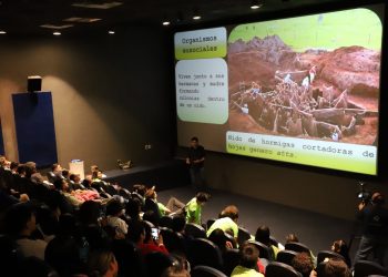 Cuando la ciencia se vuelve terror: las “hormigas zombis” asombran Sábados en la Ciencia