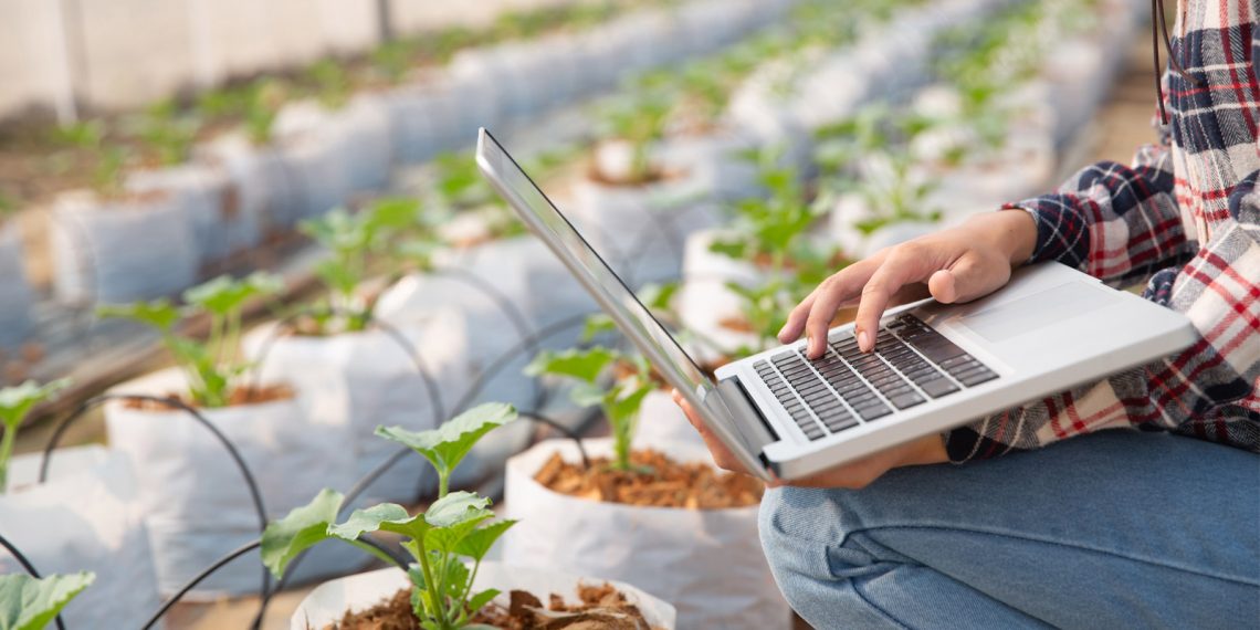 Agronegocios de la UACJ inicia proceso de evaluación académica