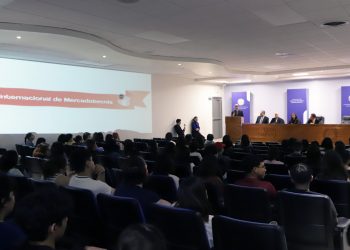 Entre algoritmos y creatividad