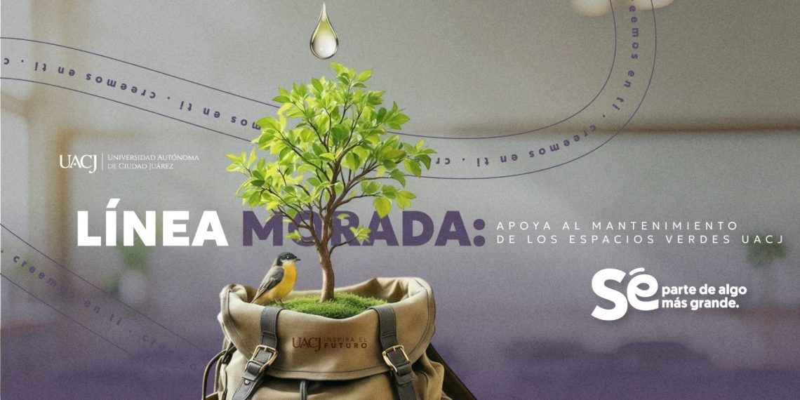 Sembrando consciencia: así construye la UACJ una comunidad más sustentable. Parte 3