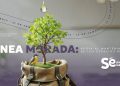 Sembrando consciencia: así construye la UACJ una comunidad más sustentable. Parte 3