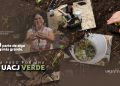Sembrando consciencia: así construye la UACJ una comunidad más sustentable. Parte 2