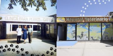 Una historia de cuatro patas: 40 años del Hospital Veterinario Universitario Perros y Gatos de la UACJ