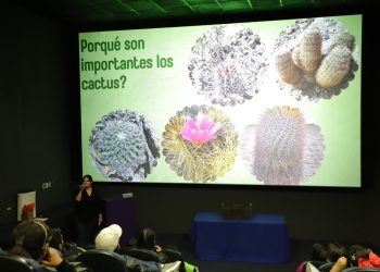 ¡Al rescate! Los superhéroes del desierto encontraron su escudo en la ciencia  